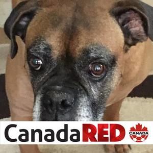 Meet your Posher, Cole